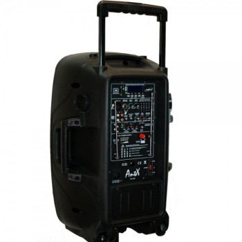 Караоке тонколона с UHF микрофони PS12-2U 
