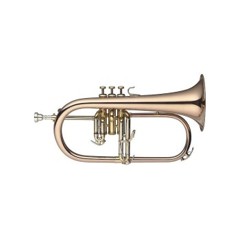 Флигорна 77-B HG 