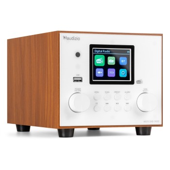 Цифрова радио система, Bluetooth, USB Vieste DAB+