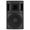 RCF M1001 Пасивна двулентова тонколона